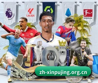 澳门新葡京 APP